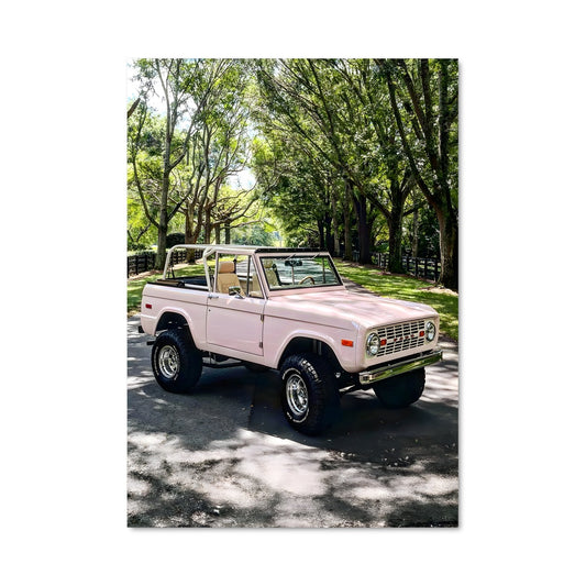 Poster Bronco Rose