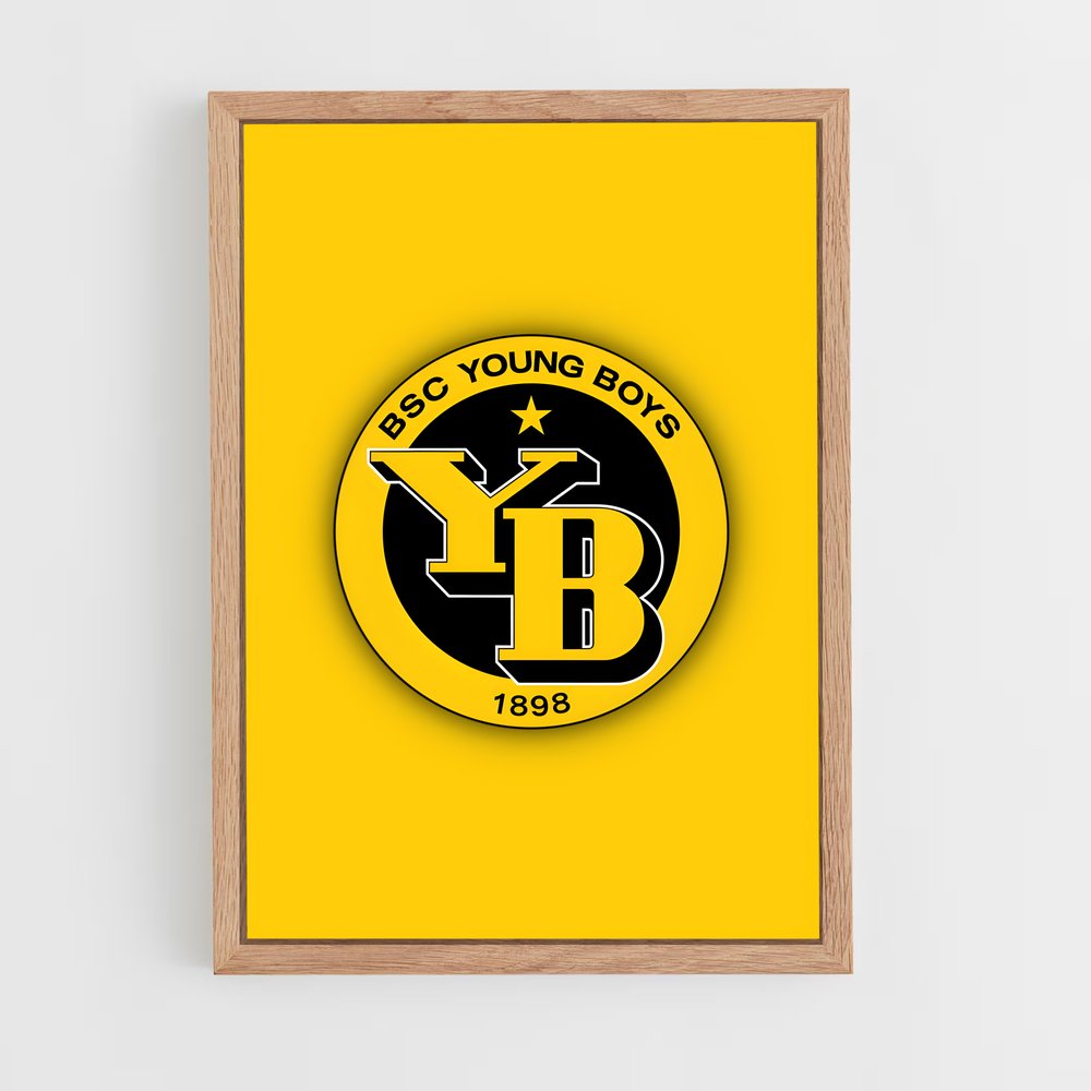 ap-bsc young boys-3 cadre Bois clair