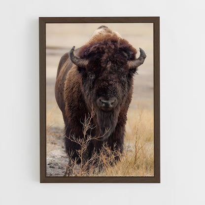 ap-buffalo-16 cadre Bois foncé