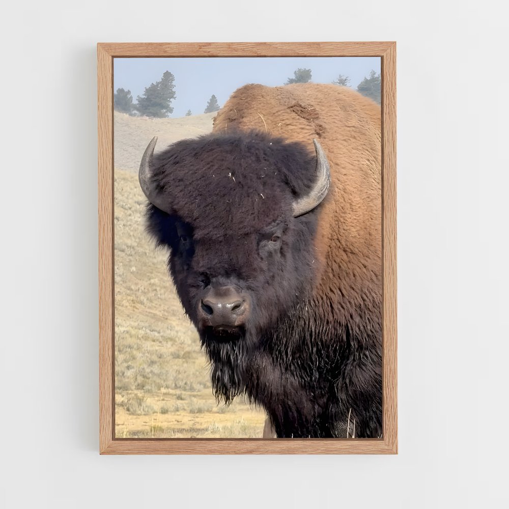 ap-buffalo-18 cadre Bois clair