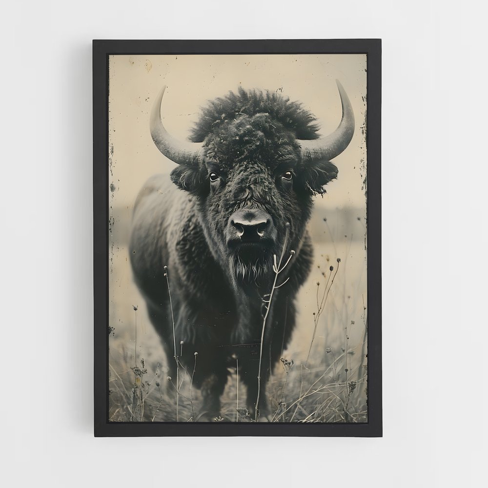 ap-buffalo-3 cadre Noir