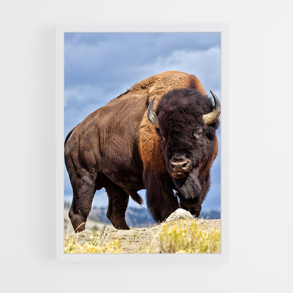 ap-buffalo-8 cadre Blanc
