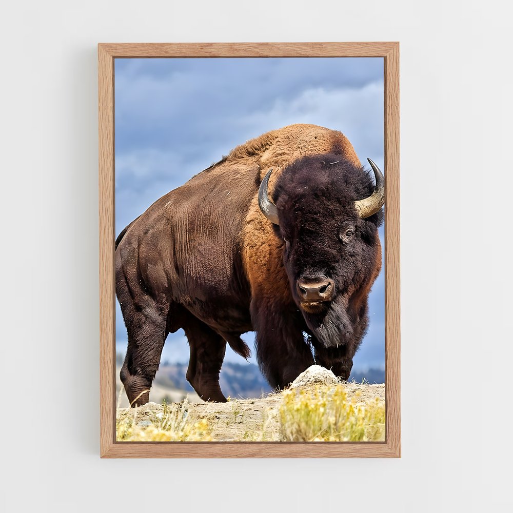 ap-buffalo-8 cadre Bois clair