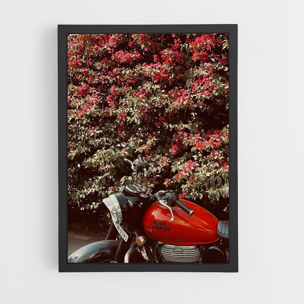 ap-bullet 350-13 cadre Noir
