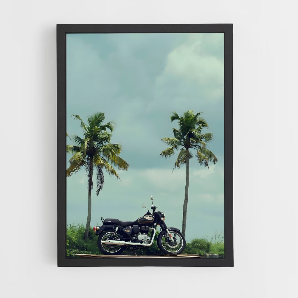 ap-bullet 350-8 cadre Noir