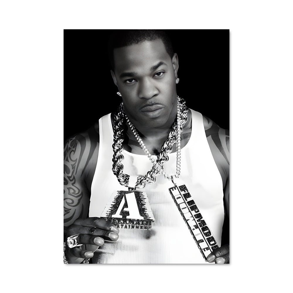 Poster Busta rhymes 53153