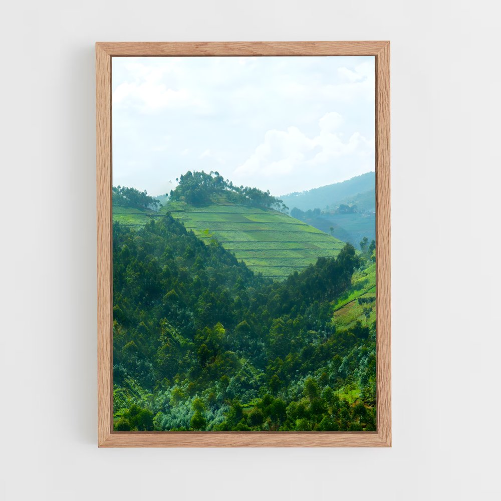 ap-butare-1 cadre Bois clair