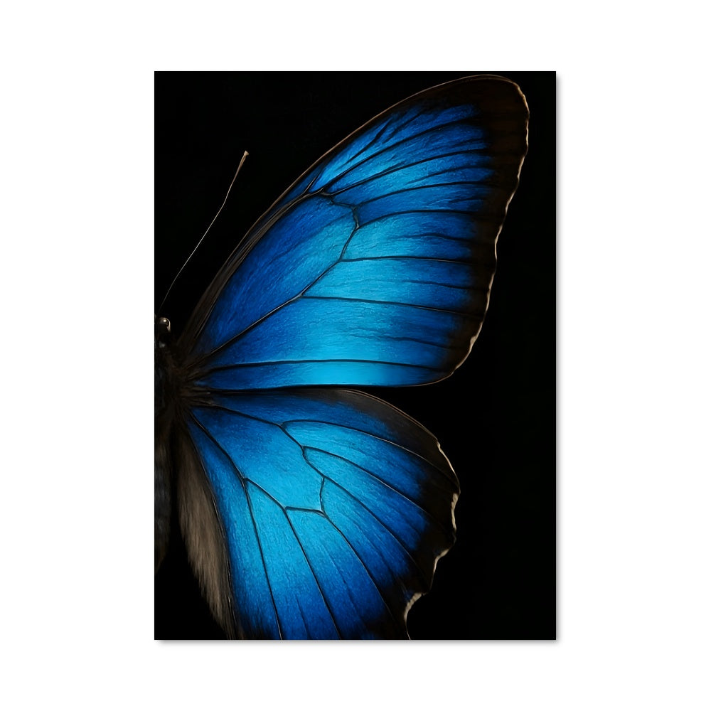 Poster Papillon Azur