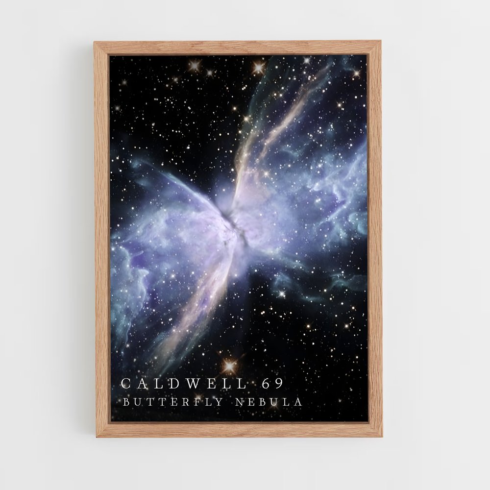 ap-butterfly nebula-2 cadre Bois clair
