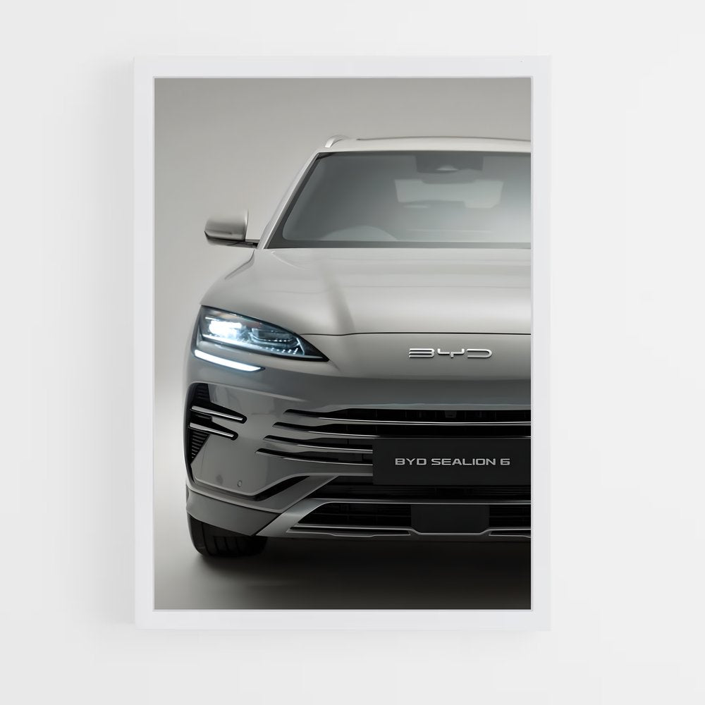 ap-byd-3 cadre Blanc