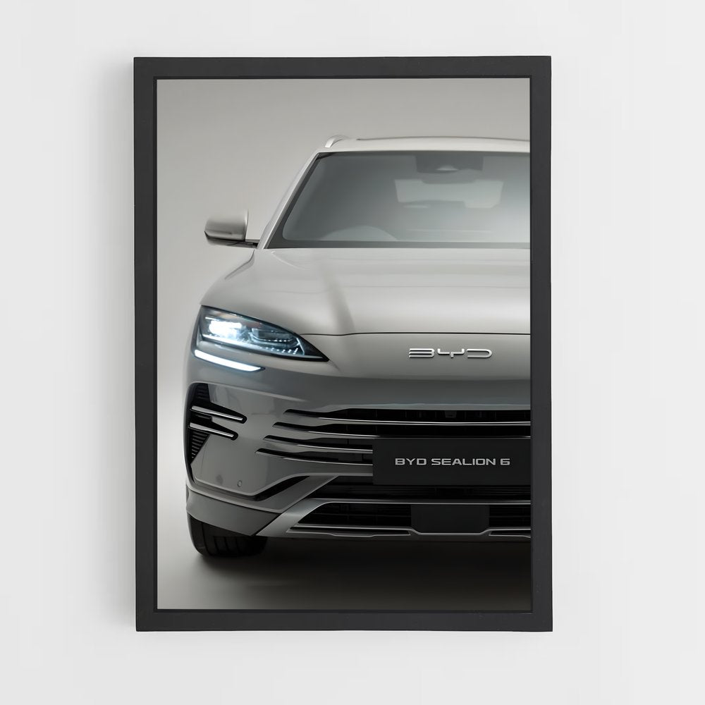 ap-byd-3 cadre Noir