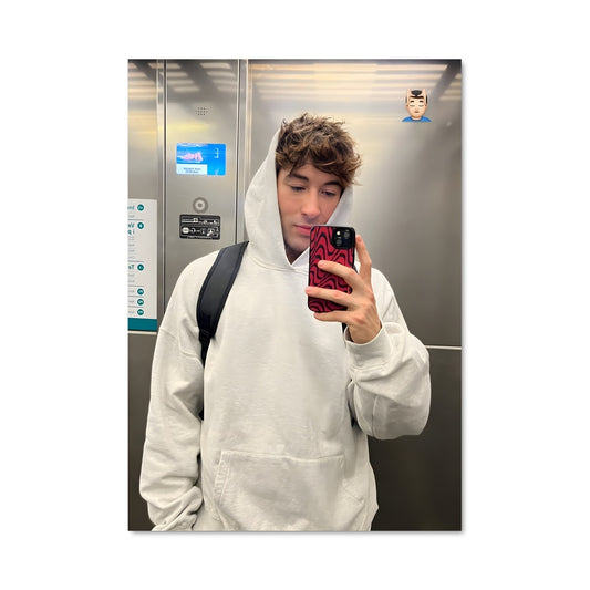 Poster Selfie dans les Toilettes