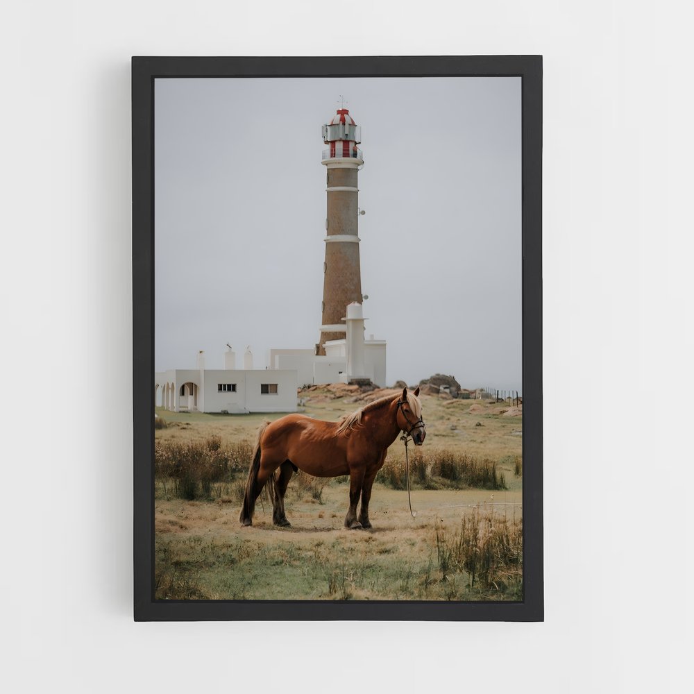 ap-cabo polonio-1 cadre Noir