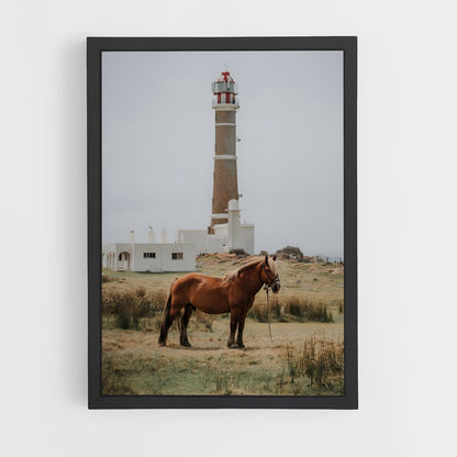 ap-cabo polonio-1 cadre Noir
