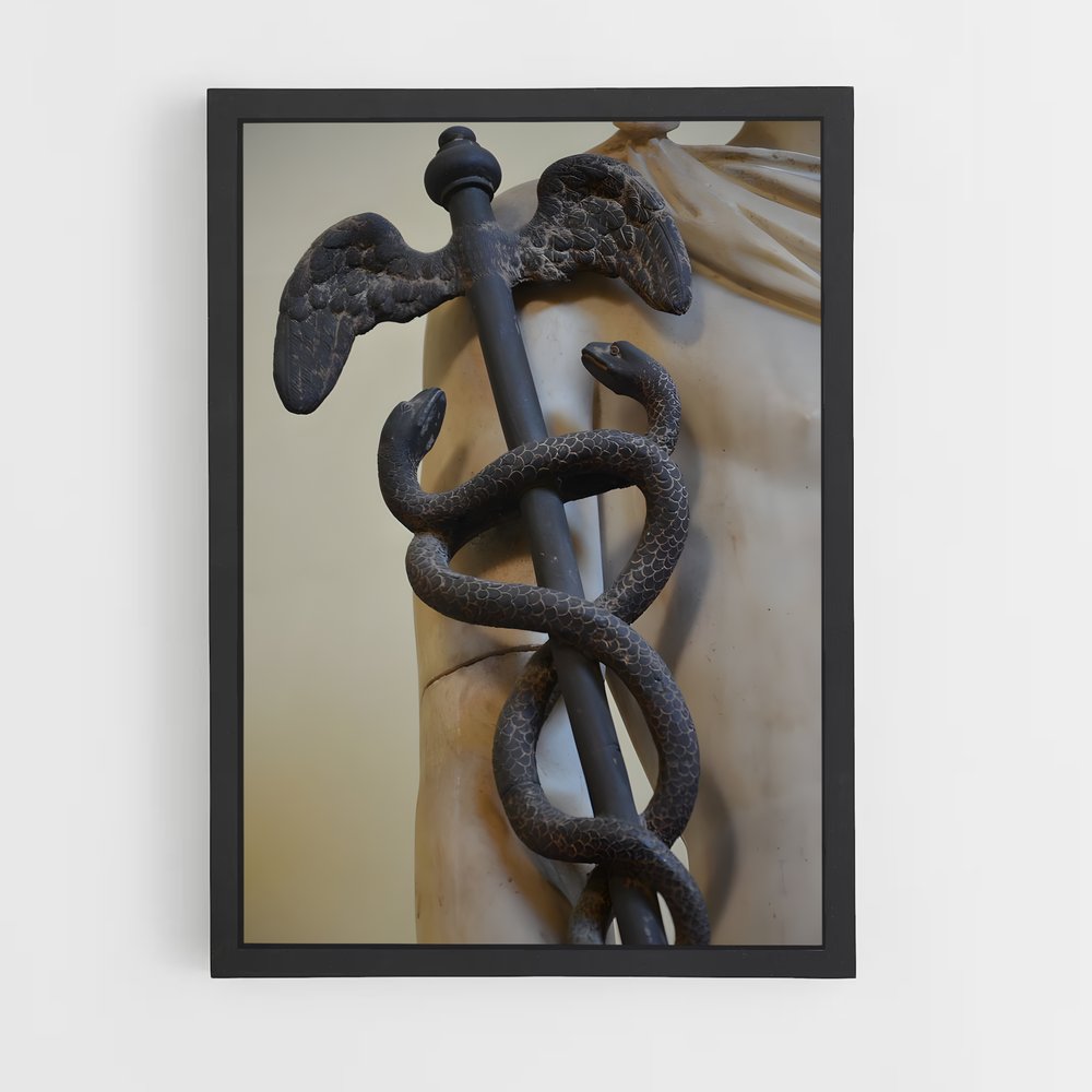 ap-caduceus-3 cadre Noir