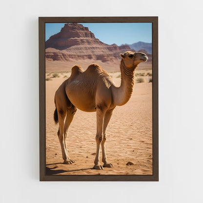 ap-camel-1 cadre Bois foncé