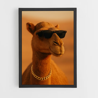 ap-camel-3 cadre Noir