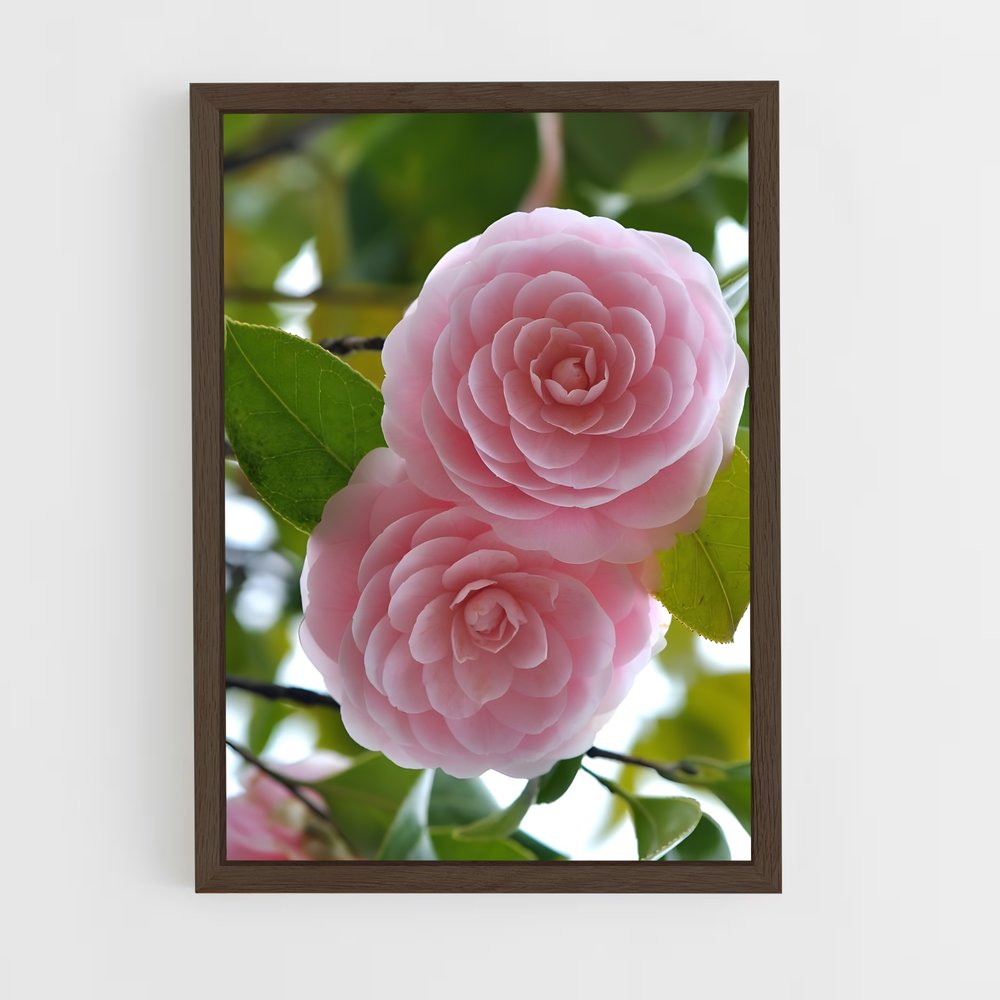 ap-camellia-3 cadre Bois foncé