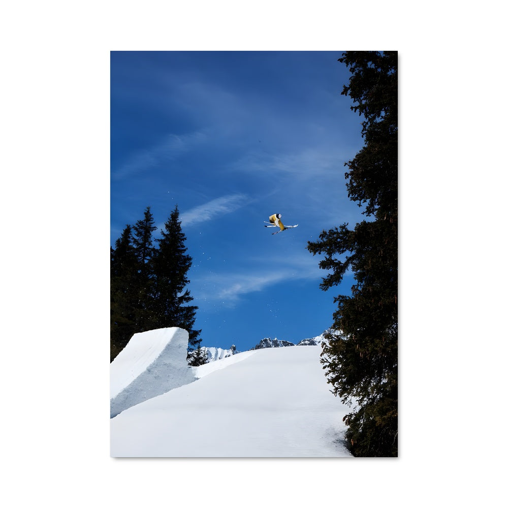 Poster Freestyle à Whistler