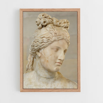 ap-capitoline venus-6 cadre Bois clair