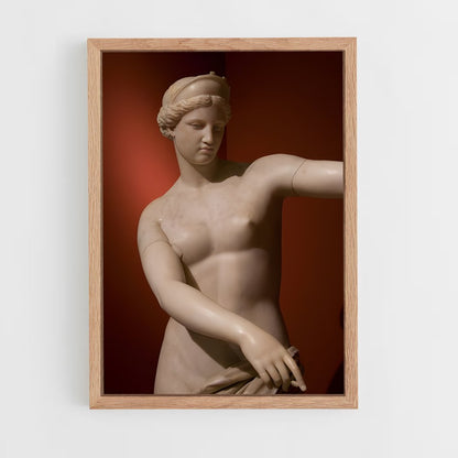 ap-capitoline venus-8 cadre Bois clair