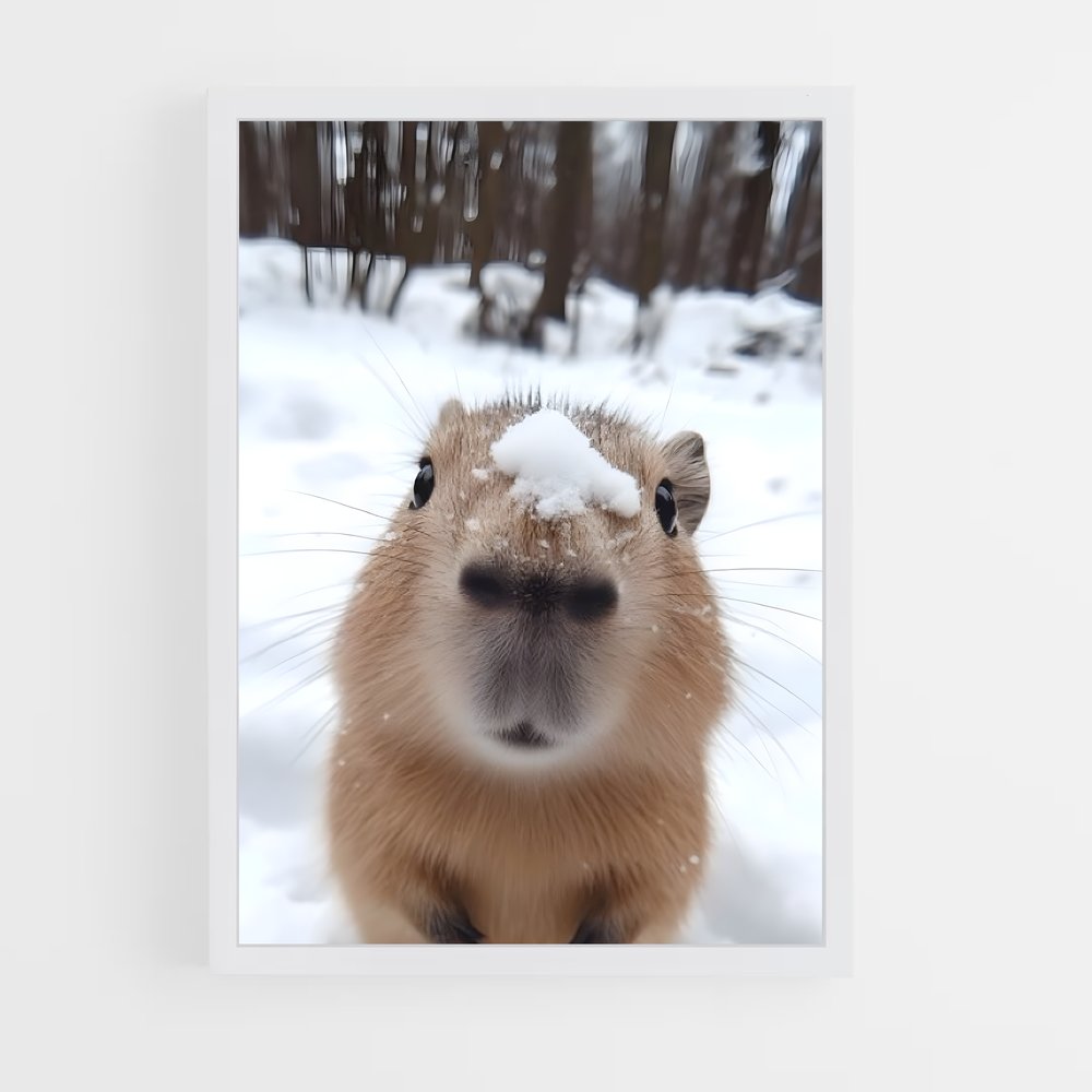 ap-capybara-1 cadre Blanc