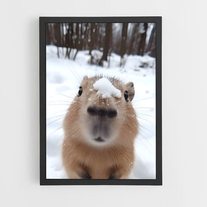 ap-capybara-1 cadre Noir