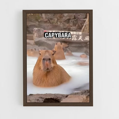 ap-capybara-4 cadre Bois foncé