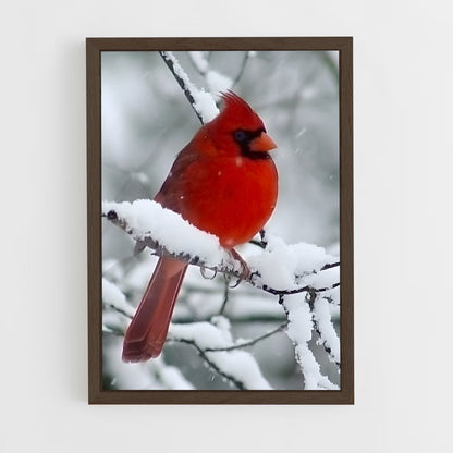 ap-cardinal-6 cadre Bois foncé