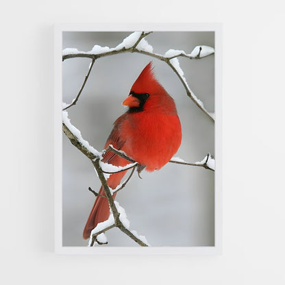 ap-cardinal-8 cadre Blanc