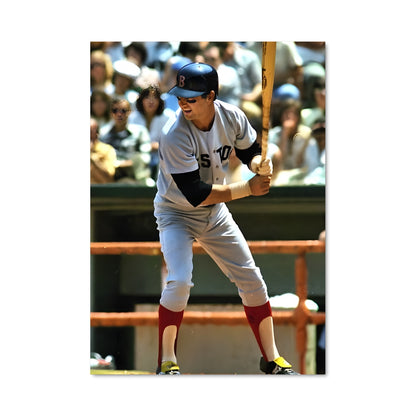 Poster Carl yastrzemski 57955