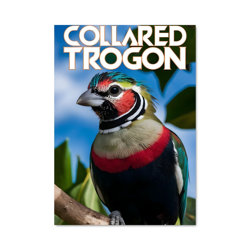 Poster Plumes Tropicales