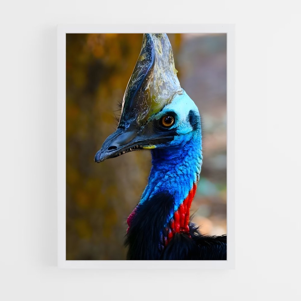 ap-cassowary-1 cadre Blanc
