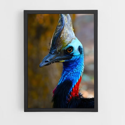 ap-cassowary-1 cadre Noir