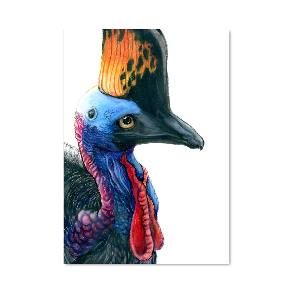 Poster Dindon Éclatant