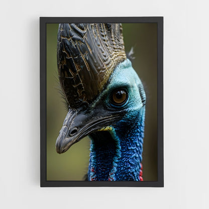 ap-cassowary-4 cadre Noir