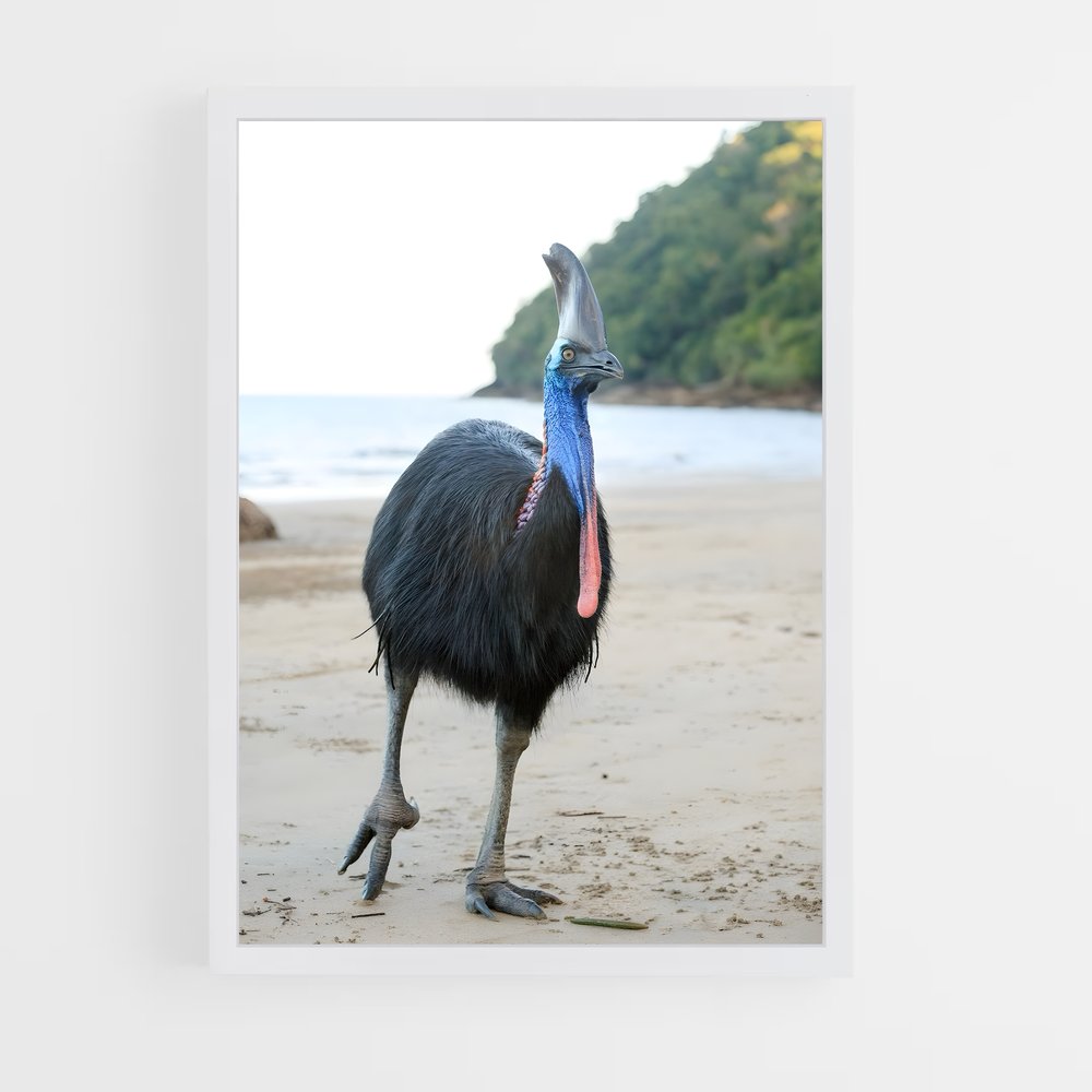 ap-cassowary-6 cadre Blanc