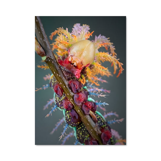 Poster Caterpillar 83304