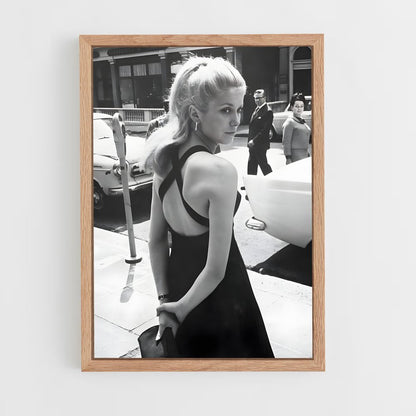 ap-catherine deneuve-4 cadre Bois clair