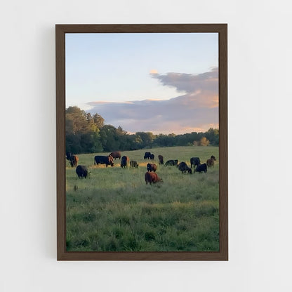 ap-cattle ranch-6 cadre Bois foncé