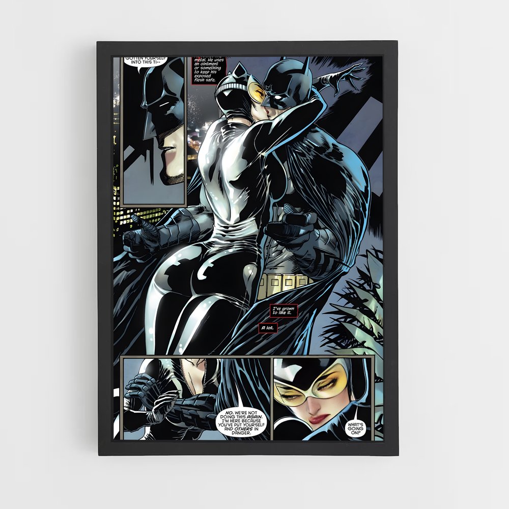ap-catwoman-6 cadre Noir