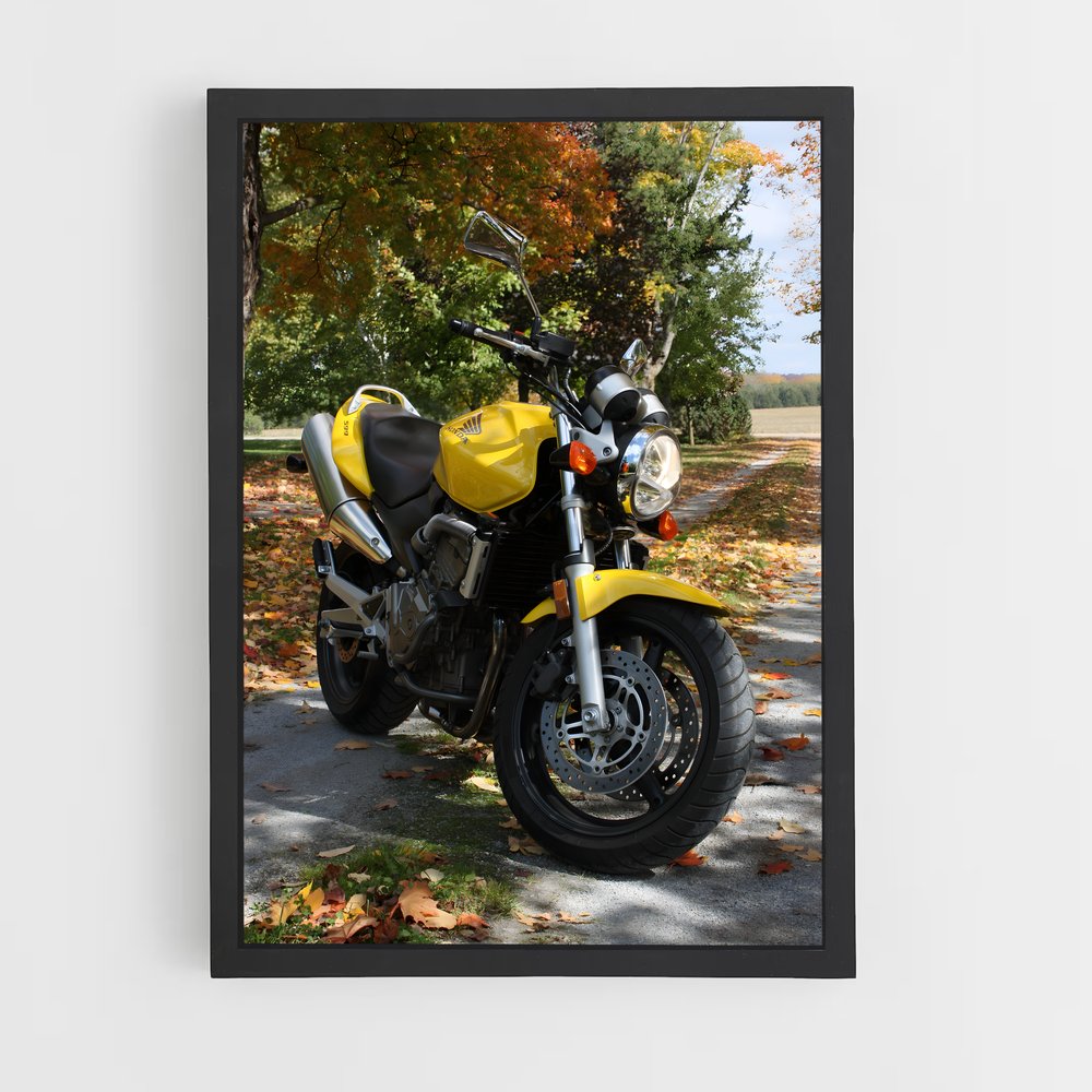 ap-cb600f hornet-3 cadre Noir