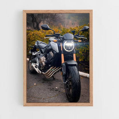 ap-cb650f-1 cadre Bois clair