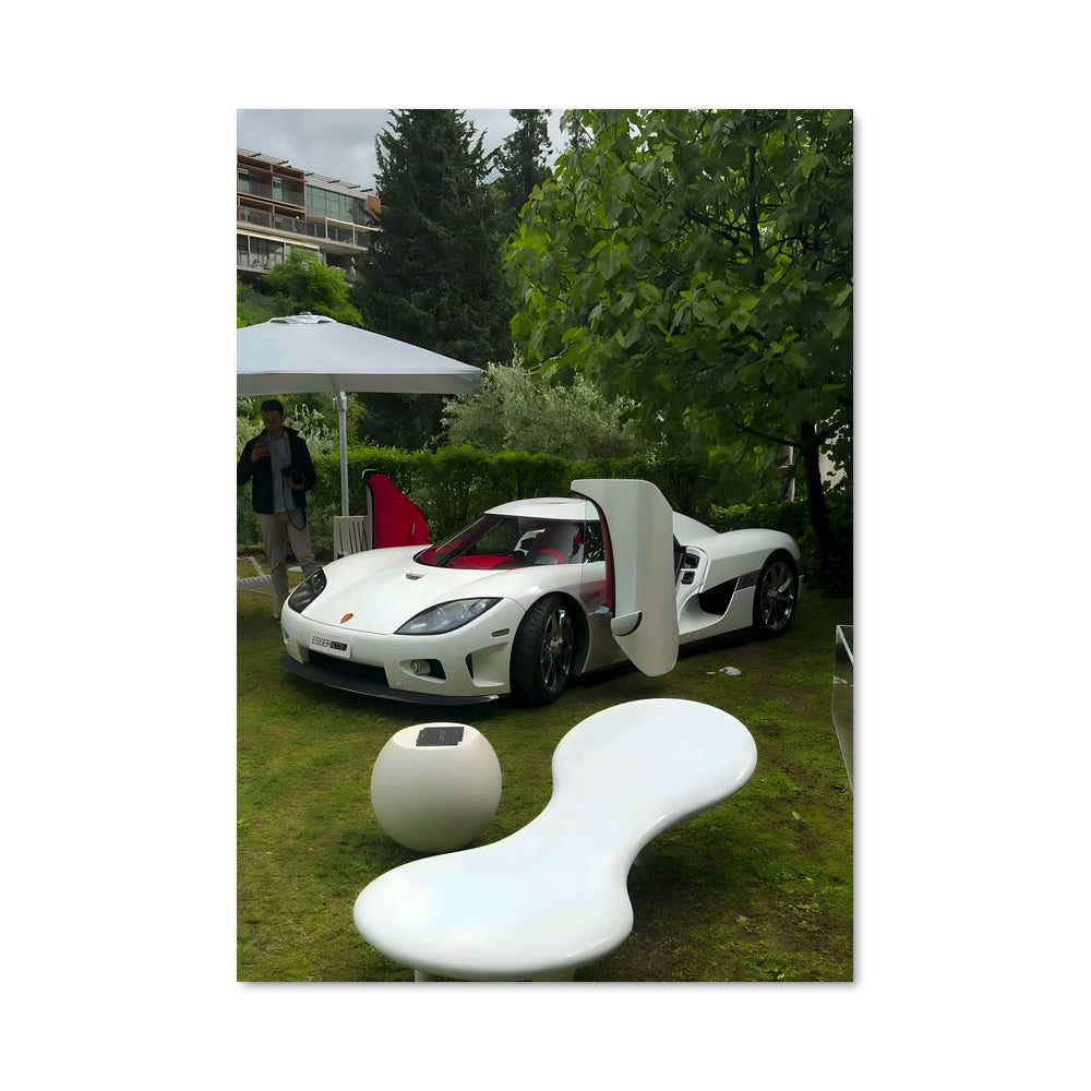 Poster Ccx 77832
