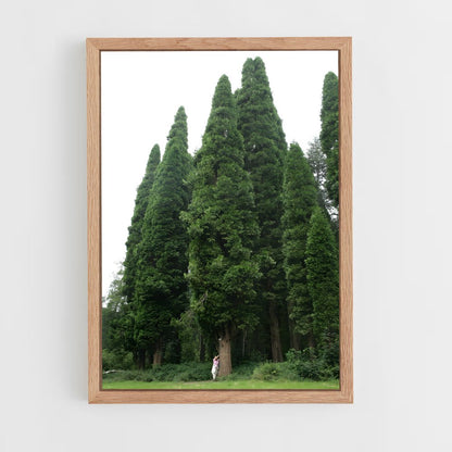 ap-cedar-4 cadre Bois clair