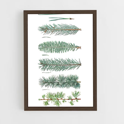 ap-cedar-8 cadre Bois foncé