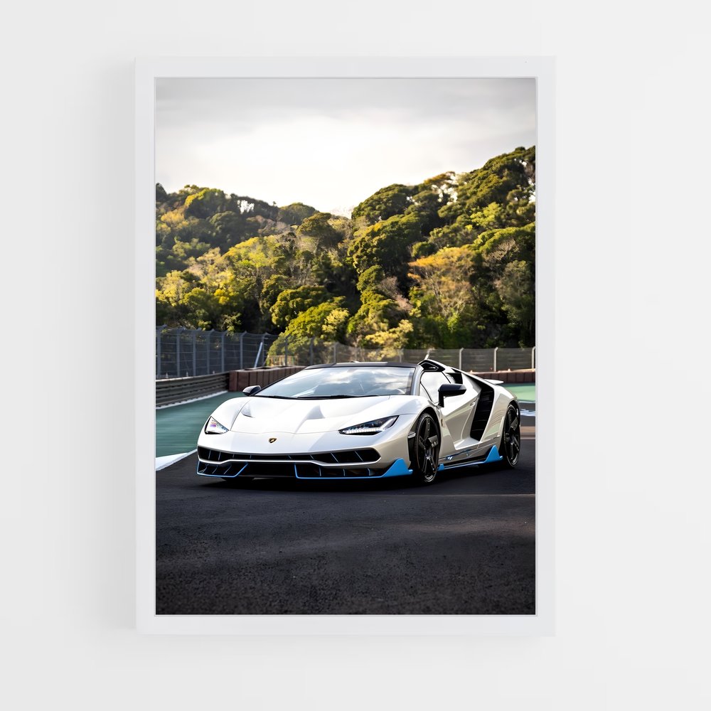 ap-centenario roadster-1 cadre Blanc