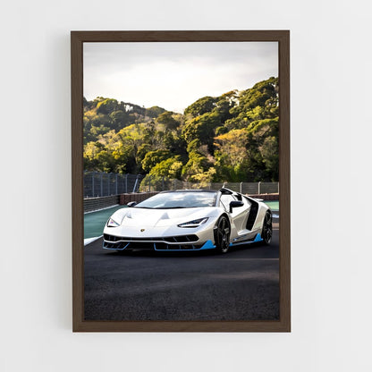 ap-centenario roadster-1 cadre Bois foncé