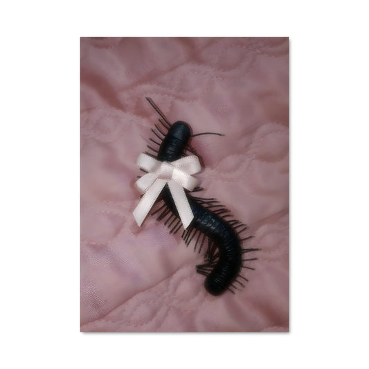 Poster Danse de la Chenille