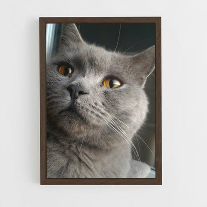 ap-chartreux-5 cadre Bois foncé